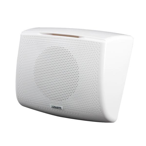 DSPPA DSP117 — настінний гучномовець 10 Вт, 100В/70В фото 2